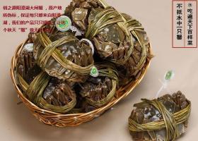 【俏之源阳澄湖大闸蟹价格_俏之源阳澄湖大闸蟹厂家】- 